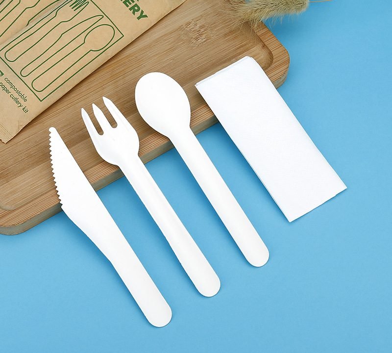 Biodegradable And Ecofriendly Disposable Paper Cutlery Set