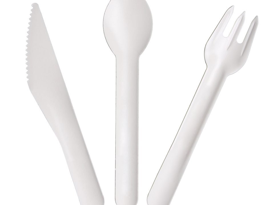 How to Import Biodegradable Disposable Cutlery from China